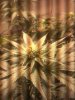 IMG_20111020_001118.jpg