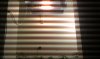 IMAG0091.jpg