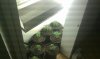 IMAG0089.jpg