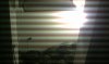 IMAG0088.jpg