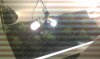 IMAG0081.jpg