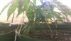 IMAG0078.jpg