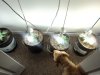 DSC00738.jpg