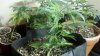 2011-10-22_13-12-28_944.jpg 2011-10-22_13-12-28_944.jpg