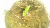 IMAG0169.jpg
