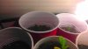 IMAG0177.jpg