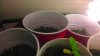 IMAG0178.jpg