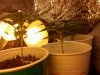 IMG_20111023_131919.jpg