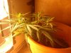 IMG_20111023_131744.jpg
