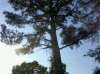 1304201778832.jpg