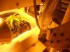 DSCN0831.jpg