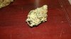 DSC08881.jpg