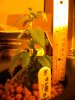 DSCN1951.jpg