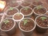 2011-09-04 21.23.03.jpg