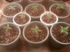 2011-09-04 21.22.51.jpg