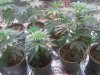 2011-09-25 21.45.39.jpg