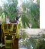 DSC01095.jpg