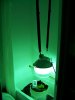 100_0376.JPG