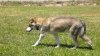 DSCN0471.jpg