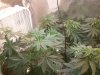 2011-10-01 16.24.37.jpg