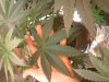 2011-09-25 21.45.27.jpg