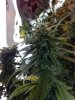 2011-10-26_11-54-53_59.jpg