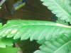 IMG_20111027_195532.jpg