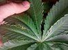 IMG_20111027_195631.jpg