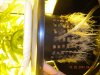 DSCN2083.jpg