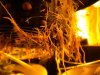 DSCN2062.jpg