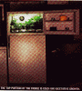 marijuana-freezer.gif marijuana-freezer.gif