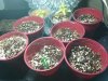 2011-10-30 22.54.10.jpg