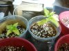 2011-10-30 22.53.12.jpg