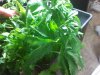 2011-10-30 22.57.04.jpg