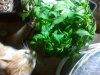 2011-10-30 22.58.27.jpg