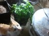 2011-10-30 23.00.00.jpg