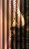 IMAG0266.jpg