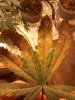 2011-10-31 13.10.49.jpg