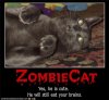 funny-pictures-zombie-grr-cat.jpg