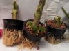 20111030_104507.jpg