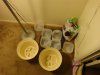 DSC00303.jpg