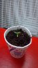2011-11-01_16-23-06_601.jpg