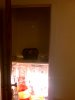 IMG_20111101_151654.jpg