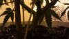 IMAG0323.jpg
