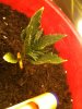 42 001.jpg