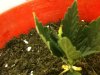 42 012.jpg