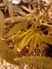 IMG_20111103_233854.jpg