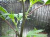 DSCN2161.jpg