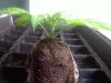 20111104155913.jpg