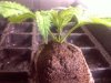 20111104155844.jpg 20111104155844.jpg